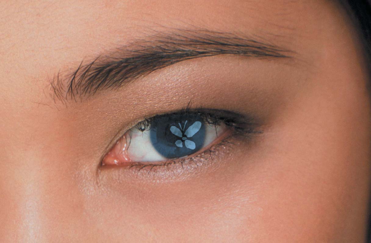 Im-Auge-des-Betrachters-Papillon-TeleConsult-GmbH-Leipzig-Berlin